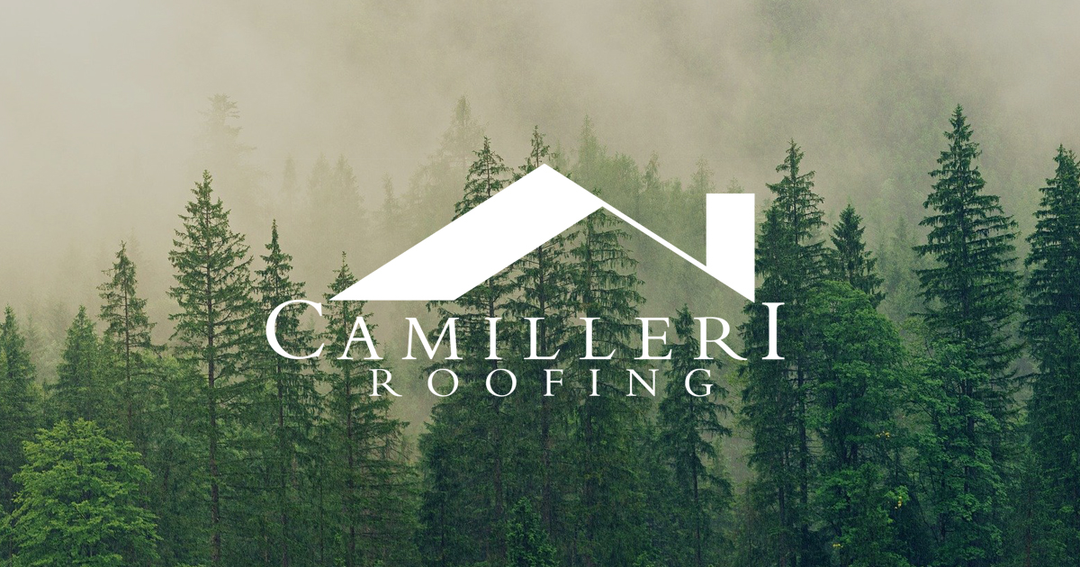 (c) Camilleri.co.uk